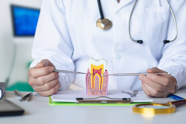 Best Pediatric Emergency Dentist in Garden Ridge, TX